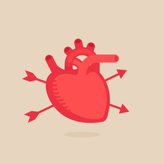 Heart illustration