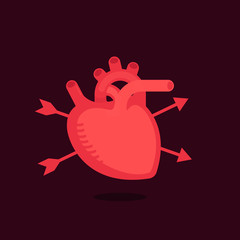Heart illustration