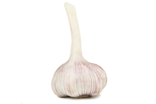 Garlic head isolate on a white background