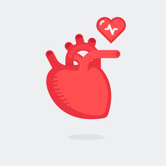 Heart illustration