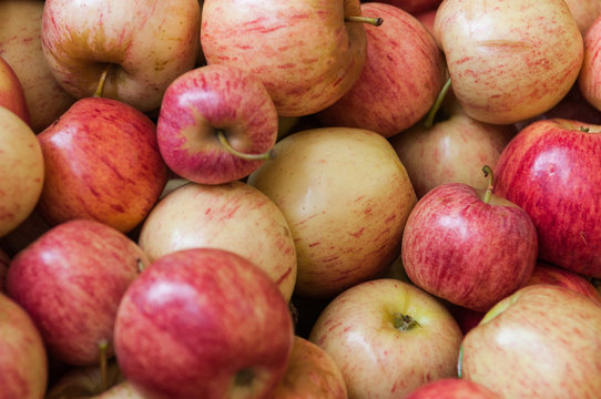 Apples