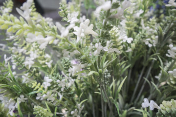 KUALA LUMPUR, 16 JAN 2017. Lovely Lace artifical flowers and teddy bear well known shop.
