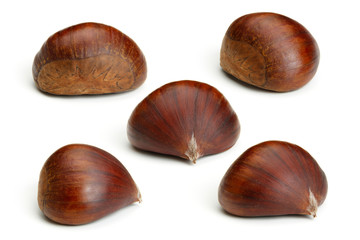 Chestnut on white
