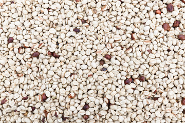 Dry Coffee Beans