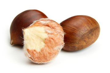 Chestnut on white