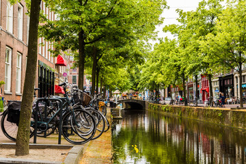 Fototapeta premium Canal in Delft