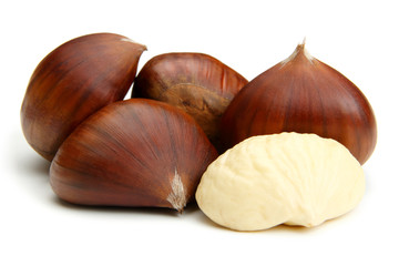 Chestnut on white
