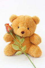 Brown teddy bears and red roses on a white background.