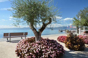 Bardolino am Gardasee