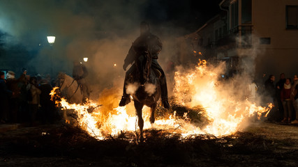 Horses jumping above the fire without fear