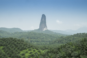 ilha tropical