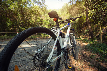 Fototapeta na wymiar mountain bike on forest trail