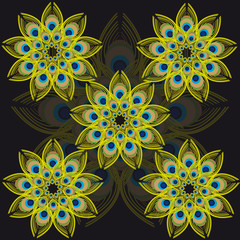 Peacoc feathers on black background