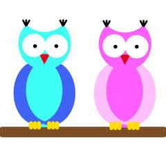 Owls on white background
