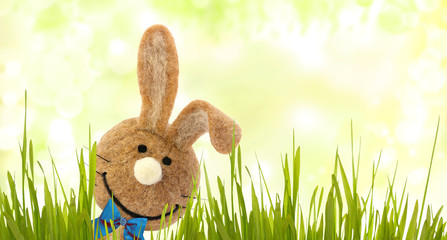 Osterhase