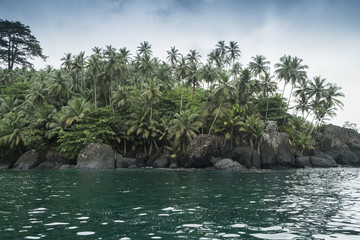 ilha e piscina tropical com pescador