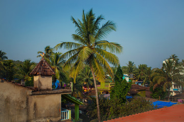 Fototapeta na wymiar Roofs of houses and palm trees