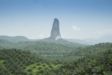 ilha tropical