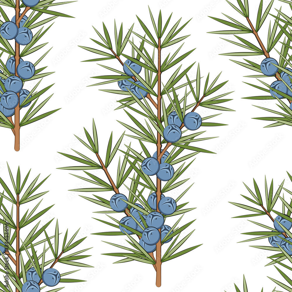 Aufkleber vector seamless pattern with a sprig of juniper.