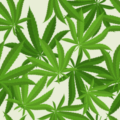 Seamless pattern with marijuana hemp leaves. Vector illustration.