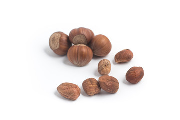 Hazelnut. Close-up photo