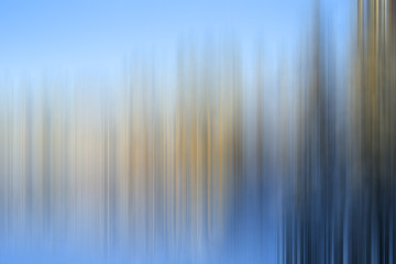 Spectrum of natural forest. Motion blur effect applied. Tonal correction made for different color tones.