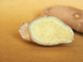 ginger root vegetables