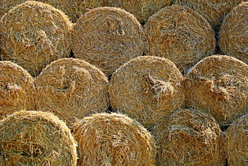 Stack of straw bales