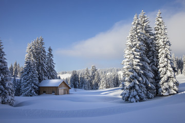 Fototapeta na wymiar Vorarlberg_Winter_0187