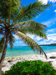 Fototapeta premium Tropical Beach