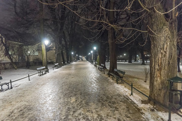 Krakau, Parkweg im Winter