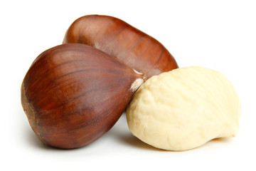 Chestnut on white