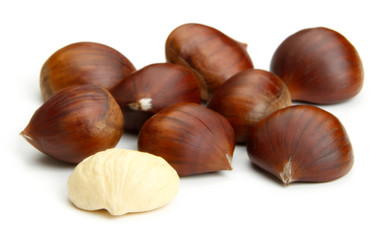 Chestnut on white