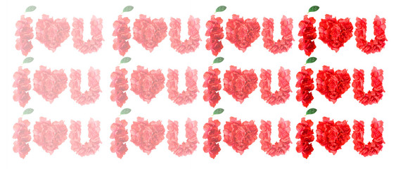 pattern of red azalea flowers and green leaf under it in form of I LOVE YOU on white background isolated
