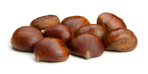 Chestnut on white