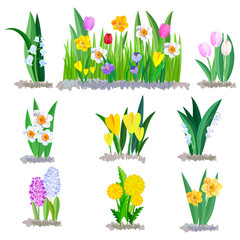 Spring flowers lily of the valley, crocus and tulips borders elements isolated on white.