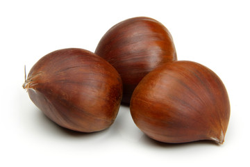 Chestnut on white