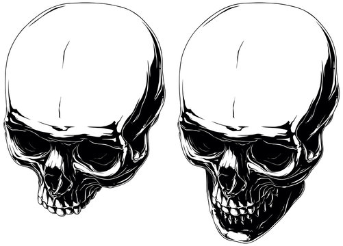 Cool graphic detailed human skulls set