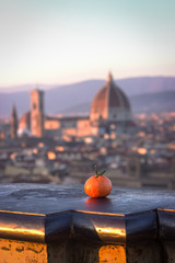 Mandarin and Duomo Santa Maria Del Fiore. Michelangelo Square, Florence, Tuscany, Italy