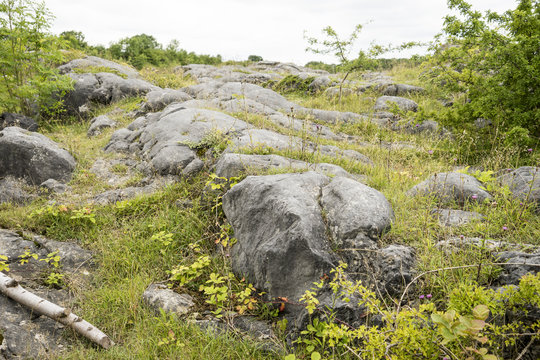 Roche Moutonnee in Limestone