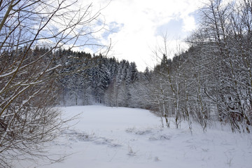 Idyllic winter landscape greeting card