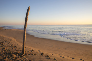 view on a beach at sunset with golden sand and quiet sea