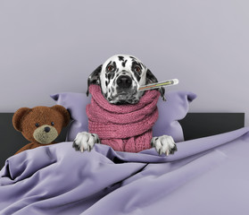 Very much sick dog