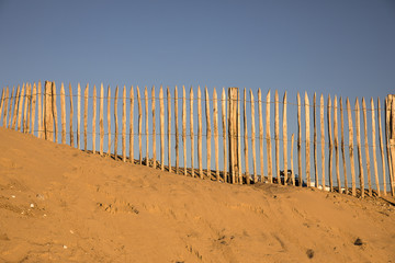 wooden fence protecting the dune by the seaside