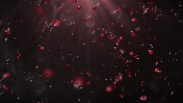Valentinstag fallende Rosenbl&auml;tter hinter einer Glasscheibe mit Wassertropfen