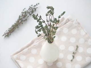 Bunch of thyme sprigs in small white vase over white wooden background. Selective focus on the...