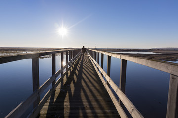 Backlit silhouette of  a man walking on a wooden pontoon over a laguna at sunset