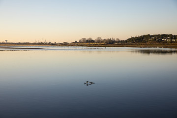 dusk on lagoon at nature reserve Casse de la Belle Henriette after sea went over the dike after the...