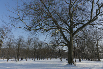 Park im Winter