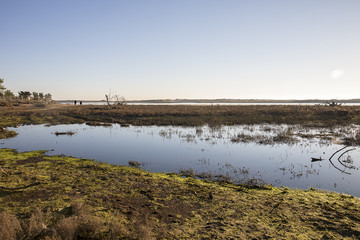 dusk on lagoon at nature reserve Casse de la Belle Henriette after sea went over the dike after the...
